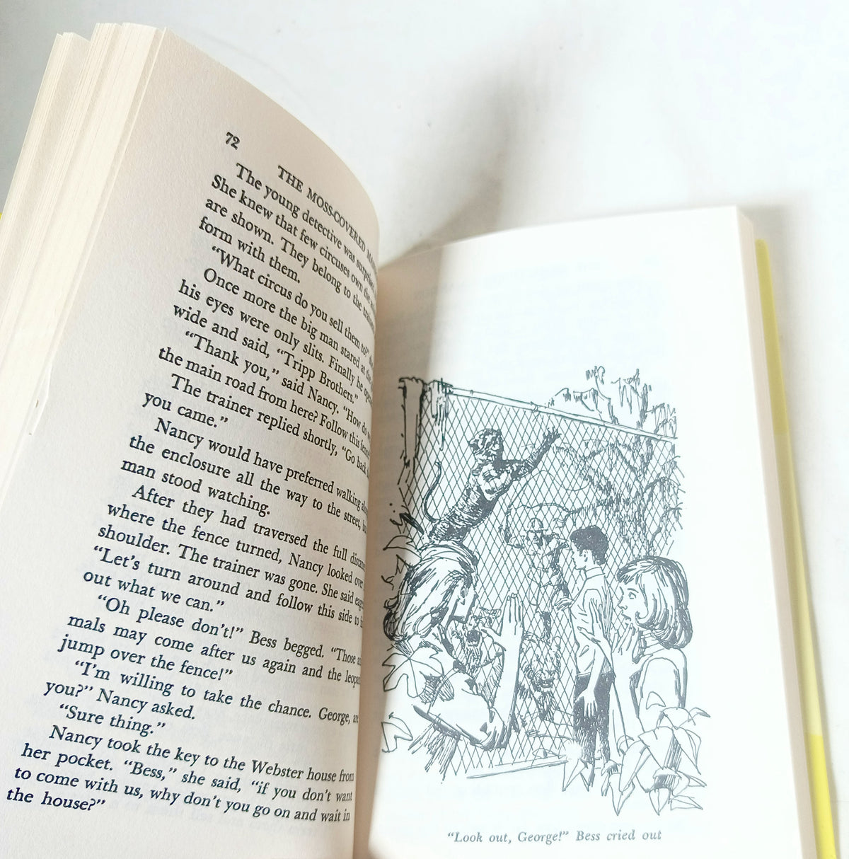 Nancy Drew Mystery 18 The Mystery at the Moss-Covered Mansion 2001 - TulipStuff