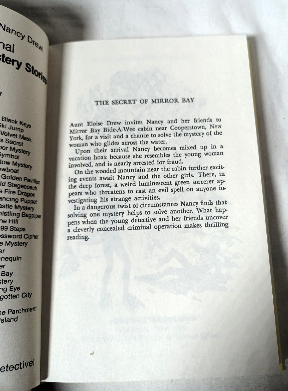 The Secret of Mirror Bay Nancy Drew Mystery Stories #49 Carolyn Keene 1997 - TulipStuff