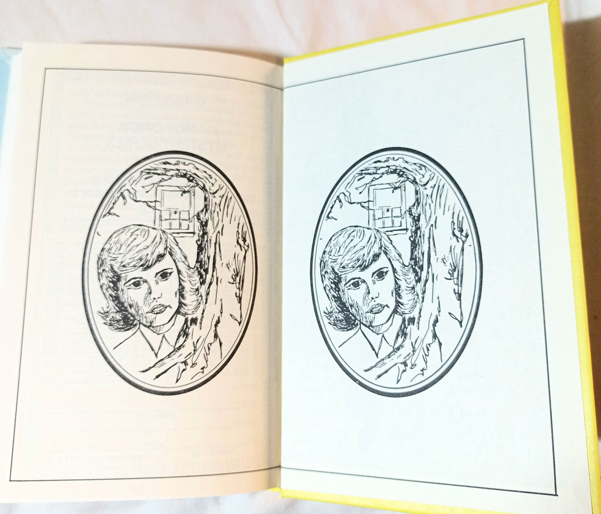 Nancy Drew Mystery Stories #3 The Bungalow Mystery Carolyn Keene 1981 - TulipStuff