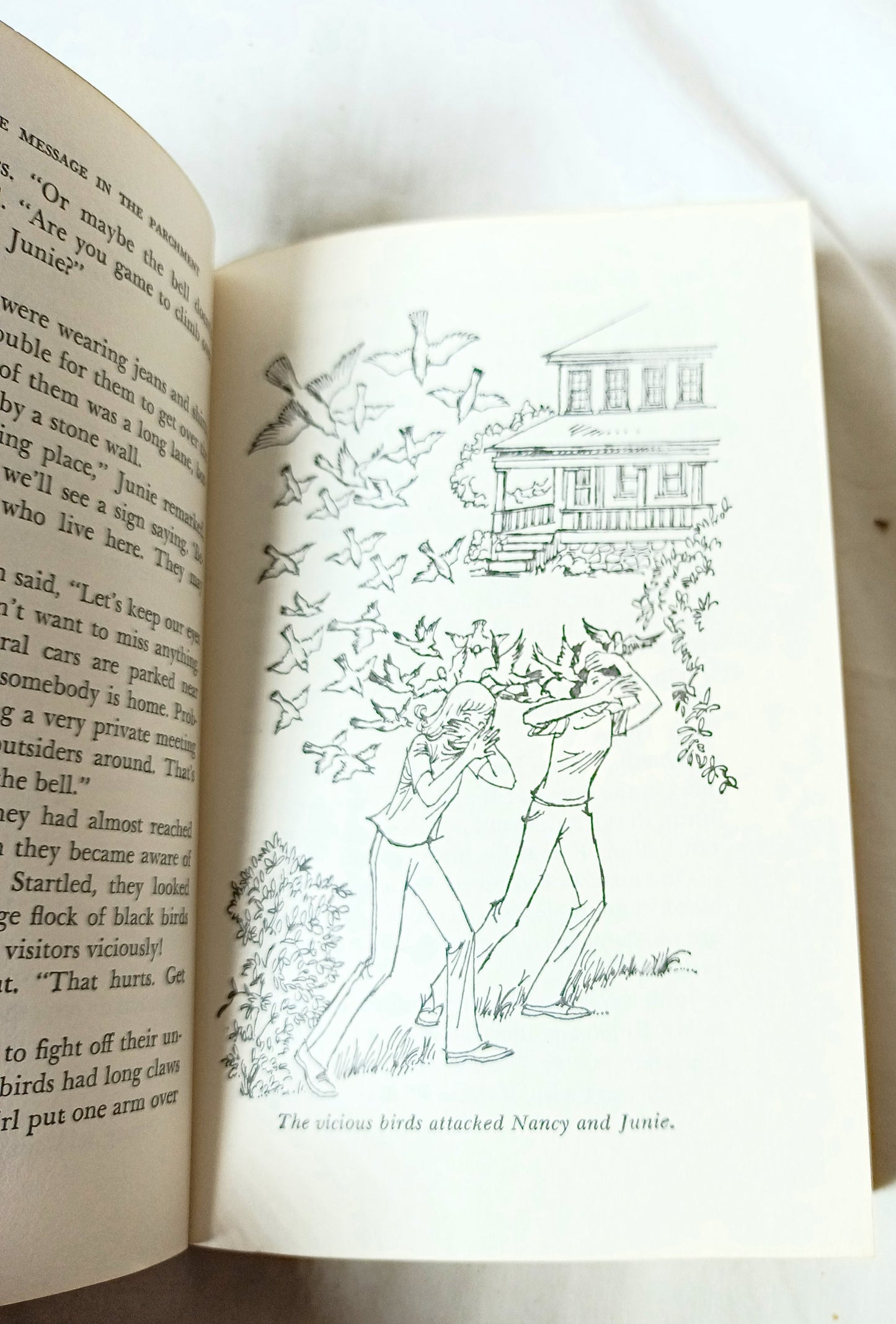 Nancy Drew Mystery #54 The Strange Message In The Parchment 1977 - Tuliptuff