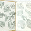Nancy Drew Mystery #54 The Strange Message In The Parchment 1977 - Tuliptuff