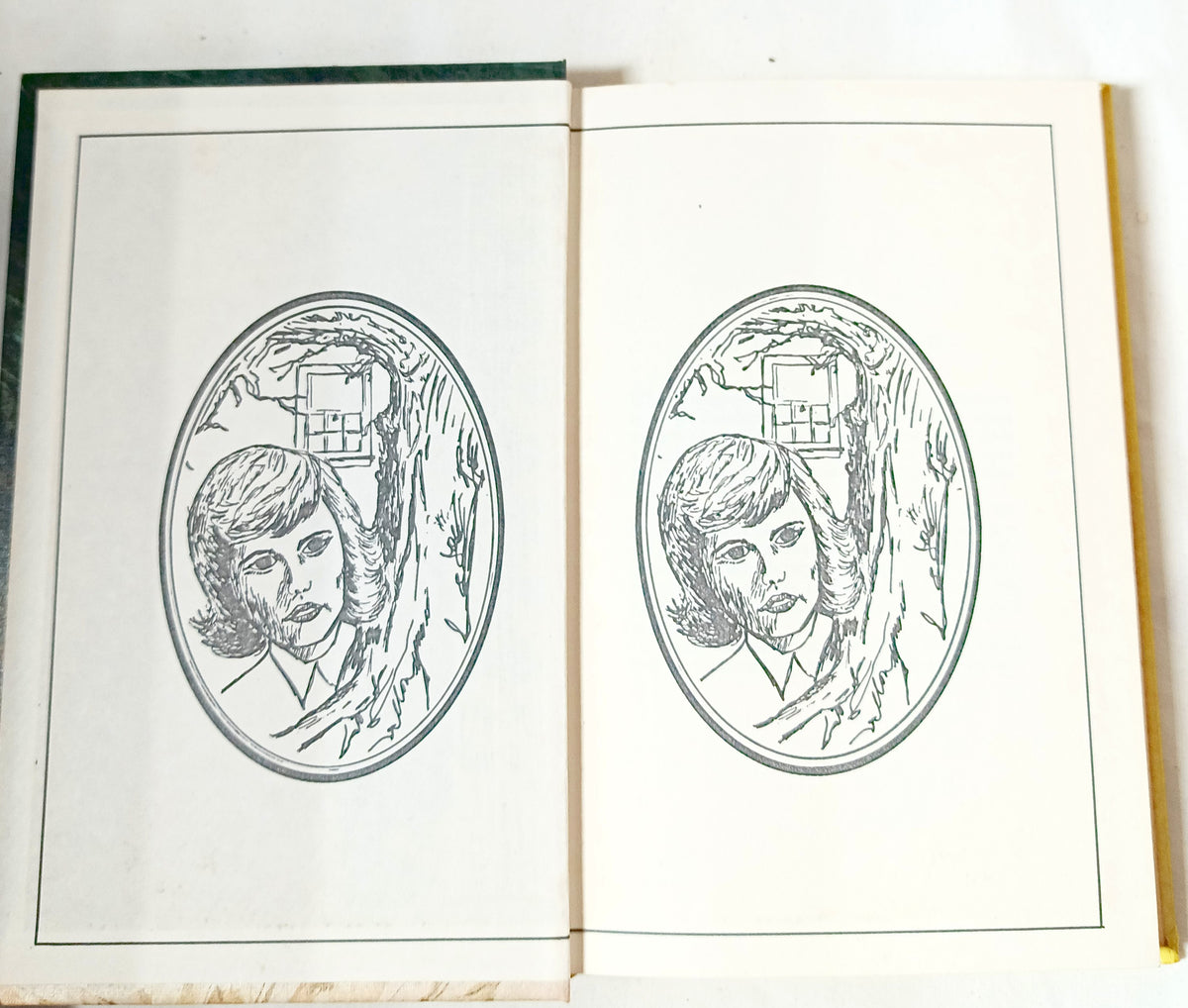Nancy Drew Mystery #33 The Witch Tree Symbol Carolyn Keene 1975 - TulipStuff