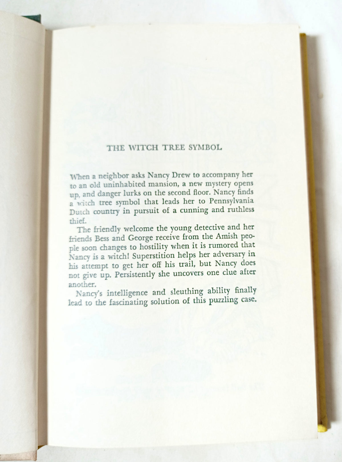 Nancy Drew Mystery #33 The Witch Tree Symbol Carolyn Keene 1975 - TulipStuff