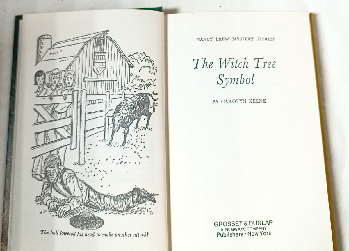 Nancy Drew Mystery #33 The Witch Tree Symbol Carolyn Keene 1975 - TulipStuff