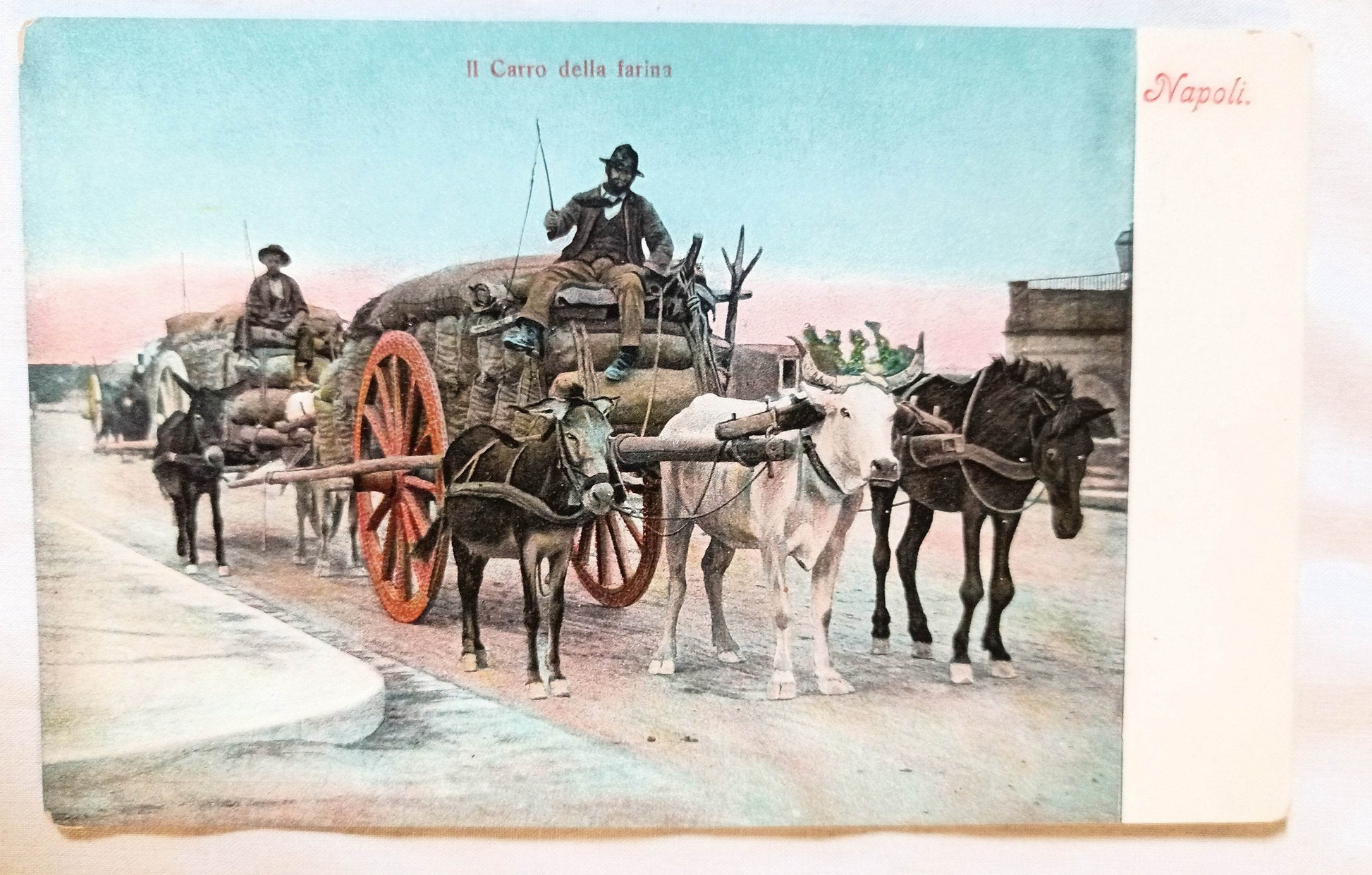 Napoli Il Carro Della Farina Naples Flour Wagon w/ Horses Oxen 1908 -TulipStuff