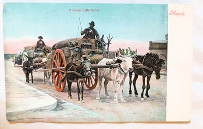 Napoli Il Carro Della Farina Naples Flour Wagon w/ Horses Oxen 1908 -TulipStuff