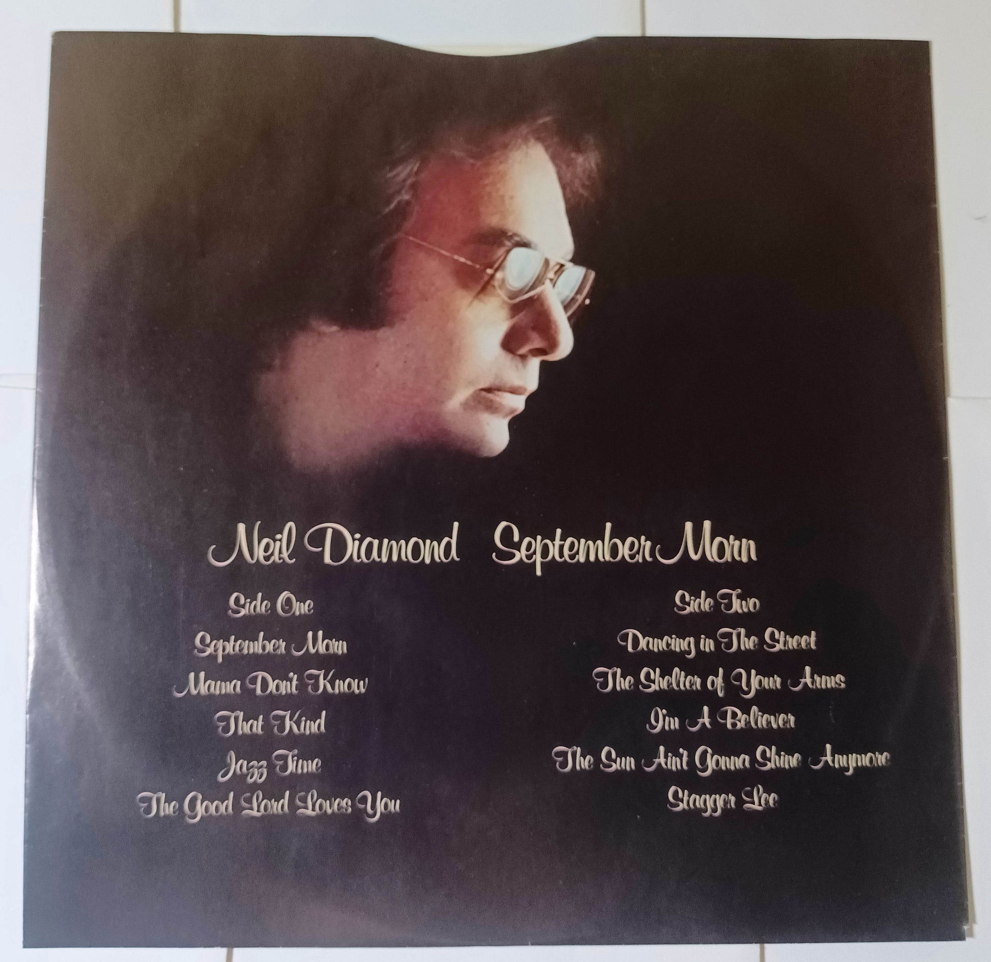 Neil Diamond September Morn 12" Vinyl Album LP Columbia 1979 - TulipStuff