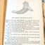 New Testament Stories Retold For Children Lillie Faris Platt Munk 1940 - TulipStuff