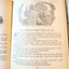 New Testament Stories Retold For Children Lillie Faris Platt Munk 1940 - TulipStuff