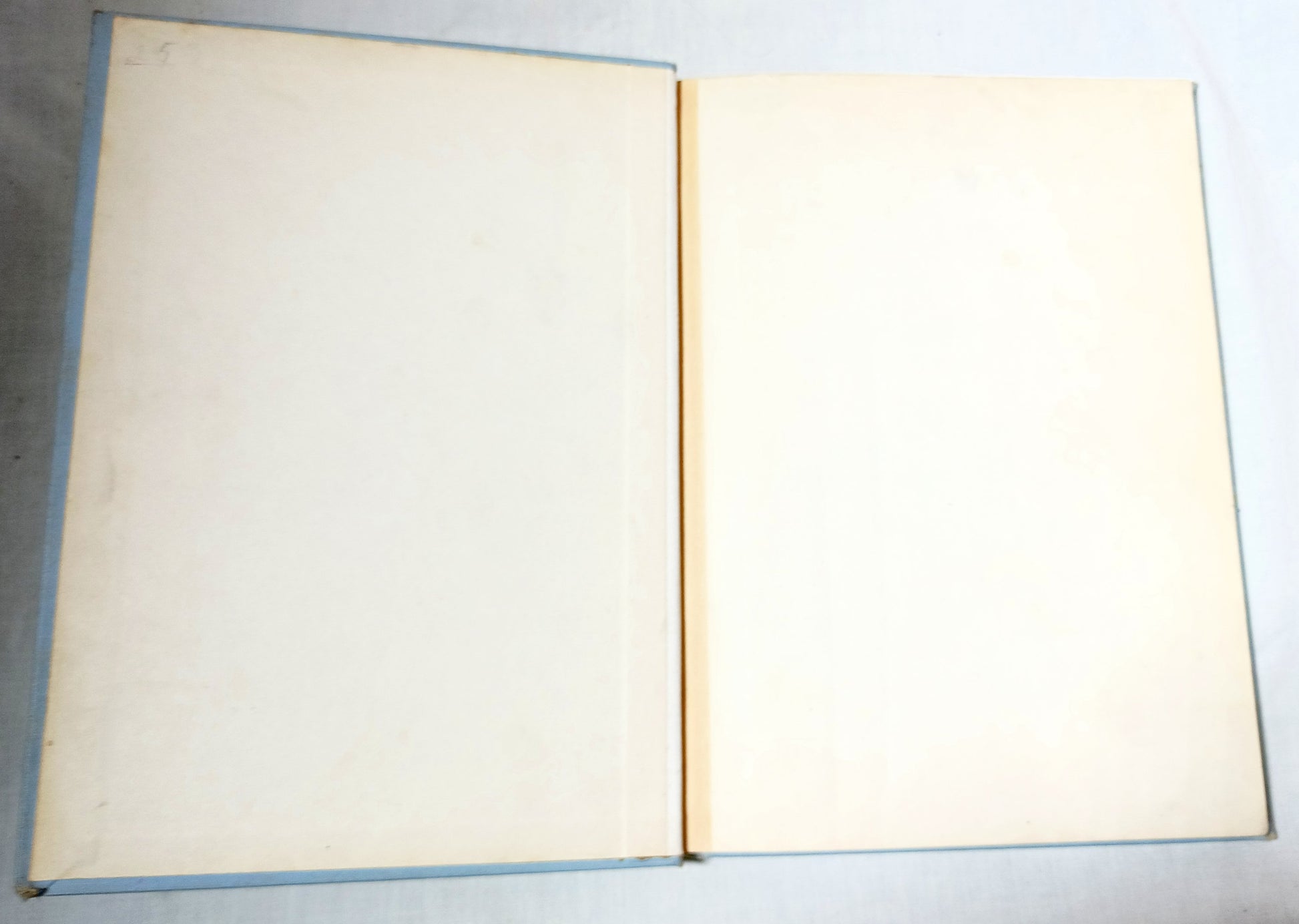 The New What Next Part 2 Reading For Independence Scott Foresman 1959 - TulipStuff