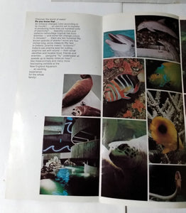 New England Aquarium Boston Massachusetts Early 1980's Brochure - TulipStuff