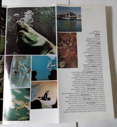 New England Aquarium Boston Massachusetts Early 1980's Brochure - TulipStuff