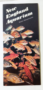 New England Aquarium Boston Massachusetts Early 1980's Brochure - TulipStuff