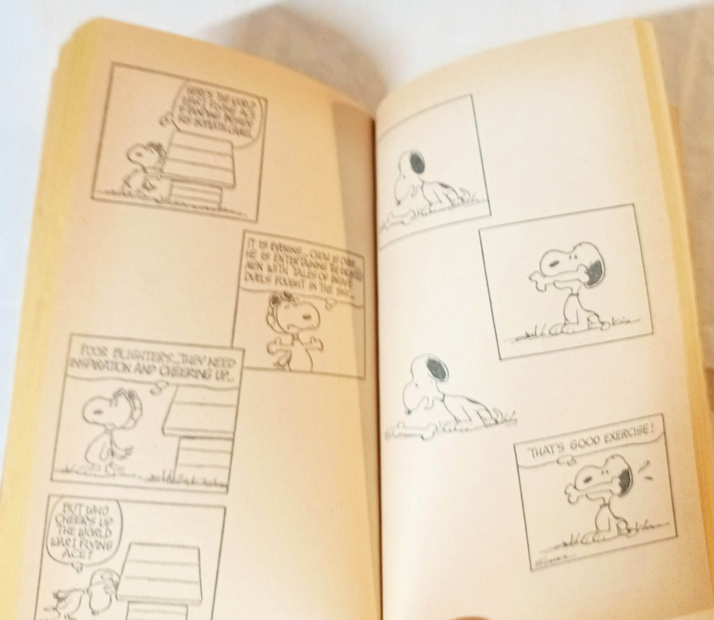 There's No One Like You Snoopy Peanuts Charles M Schulz Fawcett 1973 - TulipStuff