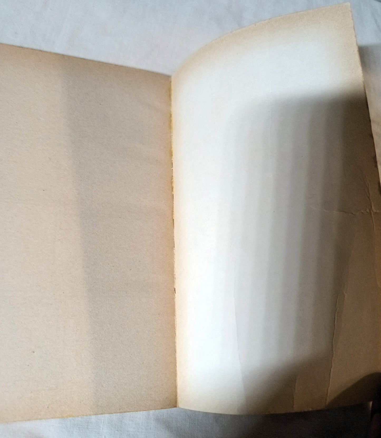 There's No One Like You Snoopy Peanuts Charles M Schulz Fawcett 1973 - TulipStuff