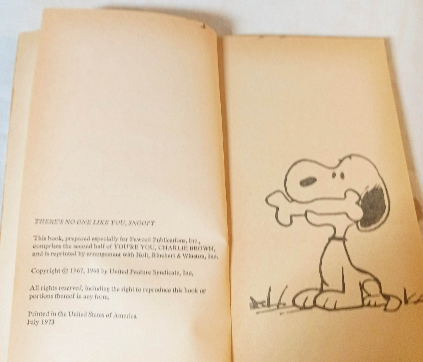 There's No One Like You Snoopy Peanuts Charles M Schulz Fawcett 1973 - TulipStuff