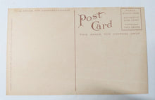 Load image into Gallery viewer, View Of North Yakima Avenue Tacoma Washington 1910&#39;s Postcard - TulipStuff
