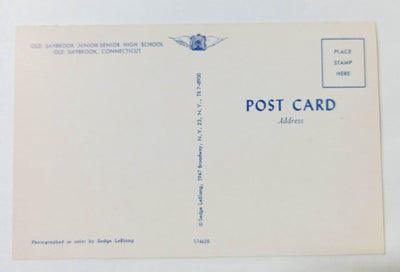 Old Saybrook Junior Senior High School Connecticut 1960's Postcard - TulipStuff