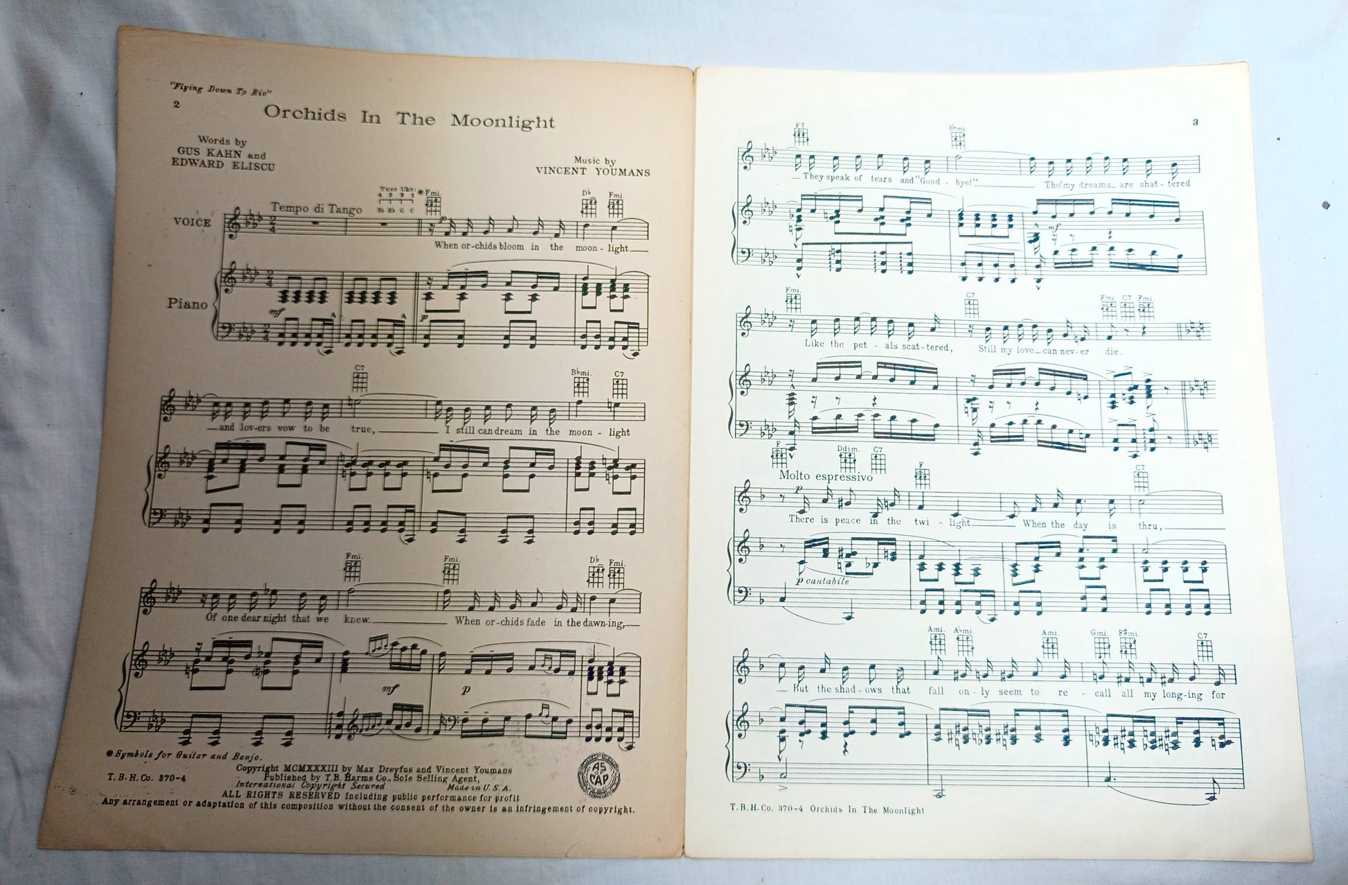Orchids In The Moonlight Flying Down To Rio Fred Astaire Ginger Rogers 1933 - TulipStuff