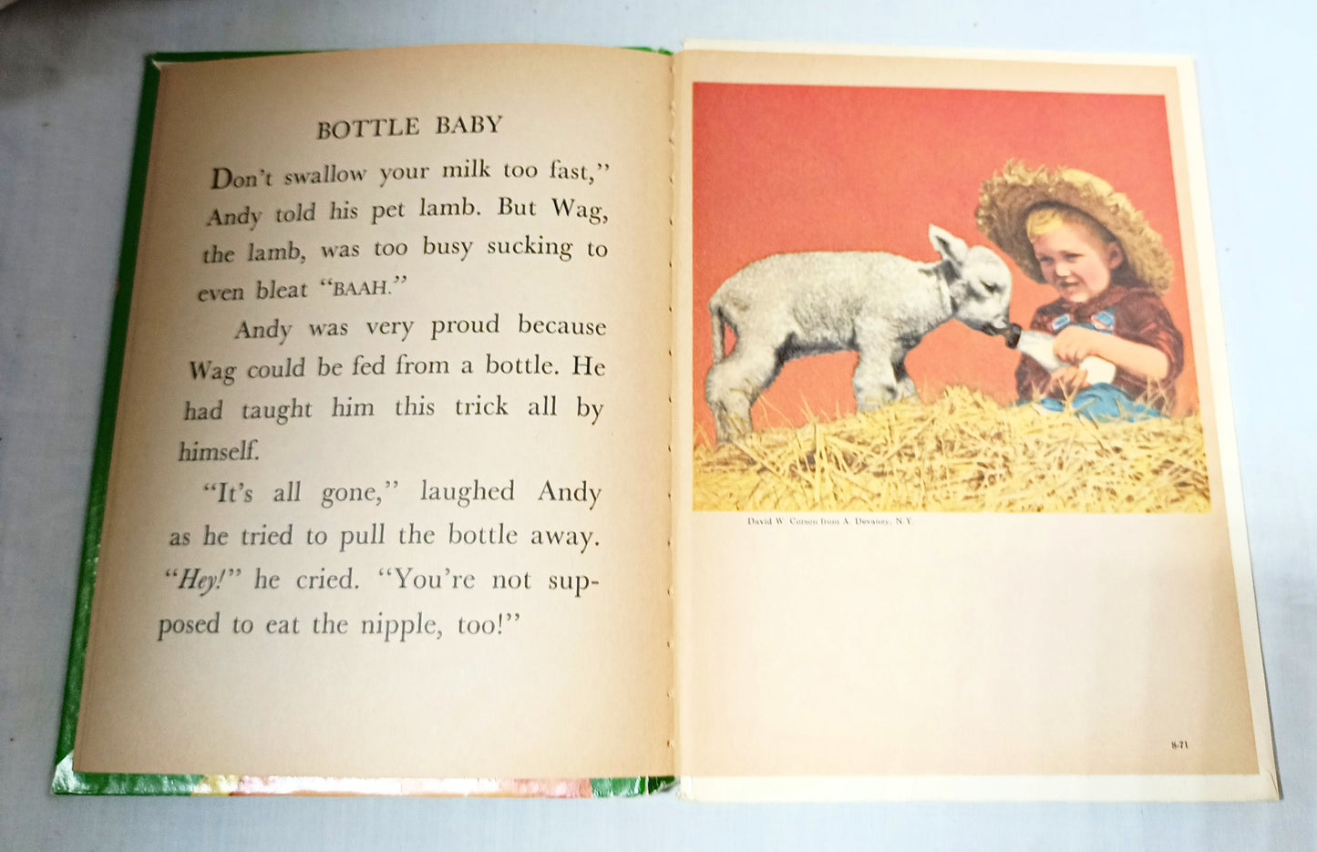 Our Animal Friends Virginia Hunter Tip-Top Elf Book Rand McNally 1956 - TulipStuff