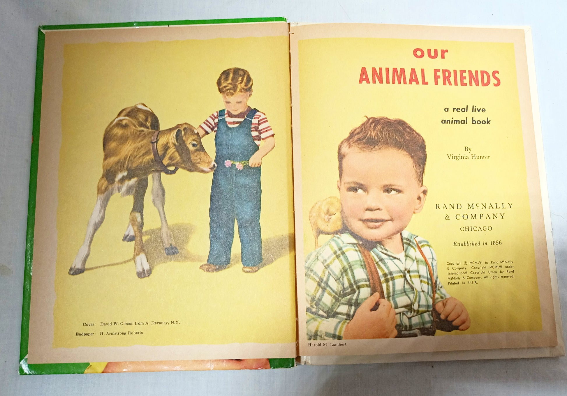 Our Animal Friends Virginia Hunter Tip-Top Elf Book Rand McNally 1956 - TulipStuff