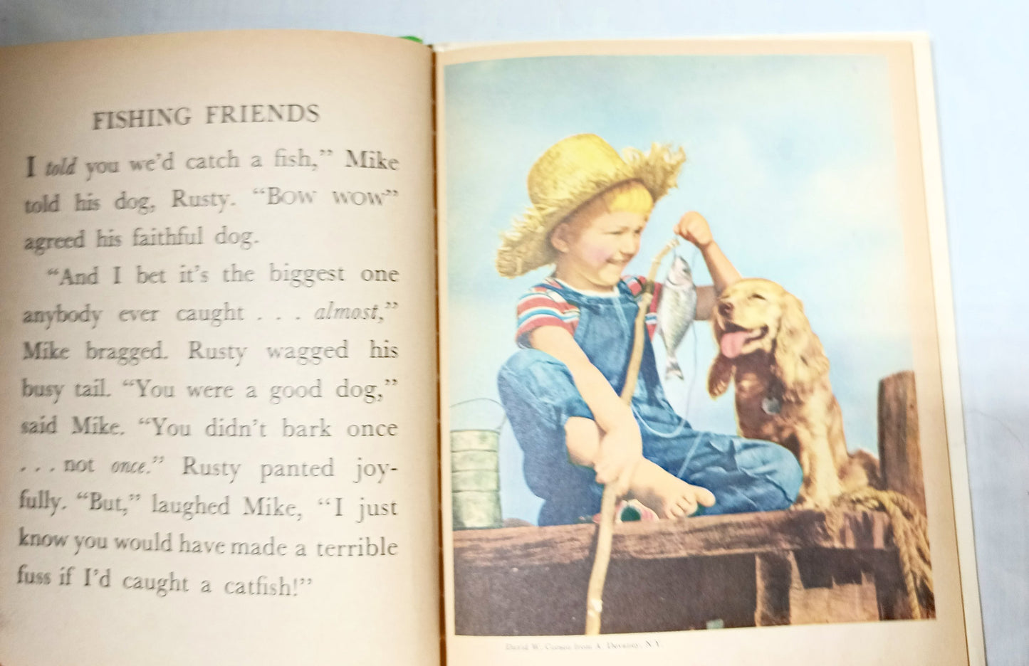 Our Animal Friends Virginia Hunter Tip-Top Elf Book Rand McNally 1956 - TulipStuff