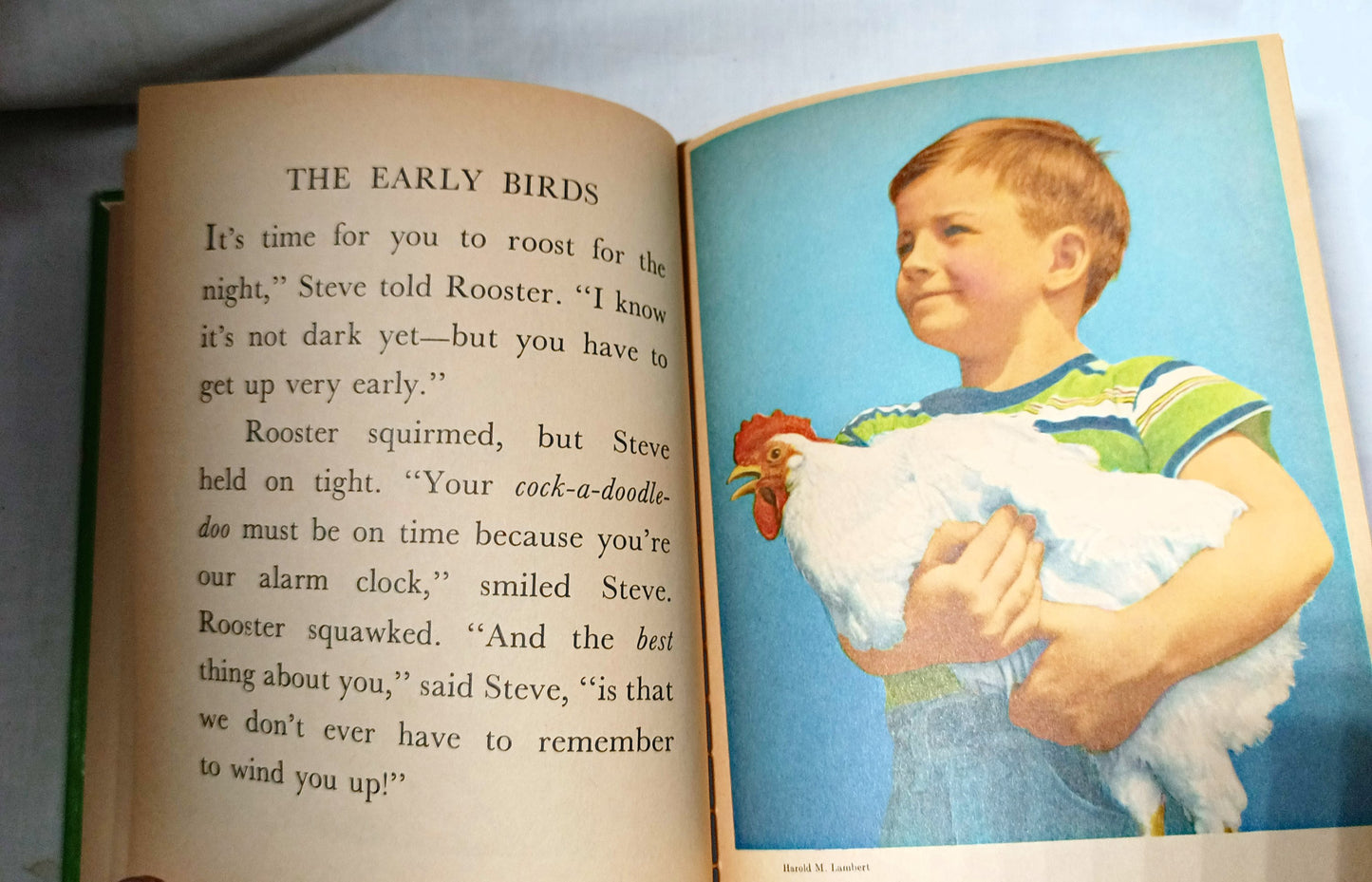 Our Animal Friends Virginia Hunter Tip-Top Elf Book Rand McNally 1956 - TulipStuff
