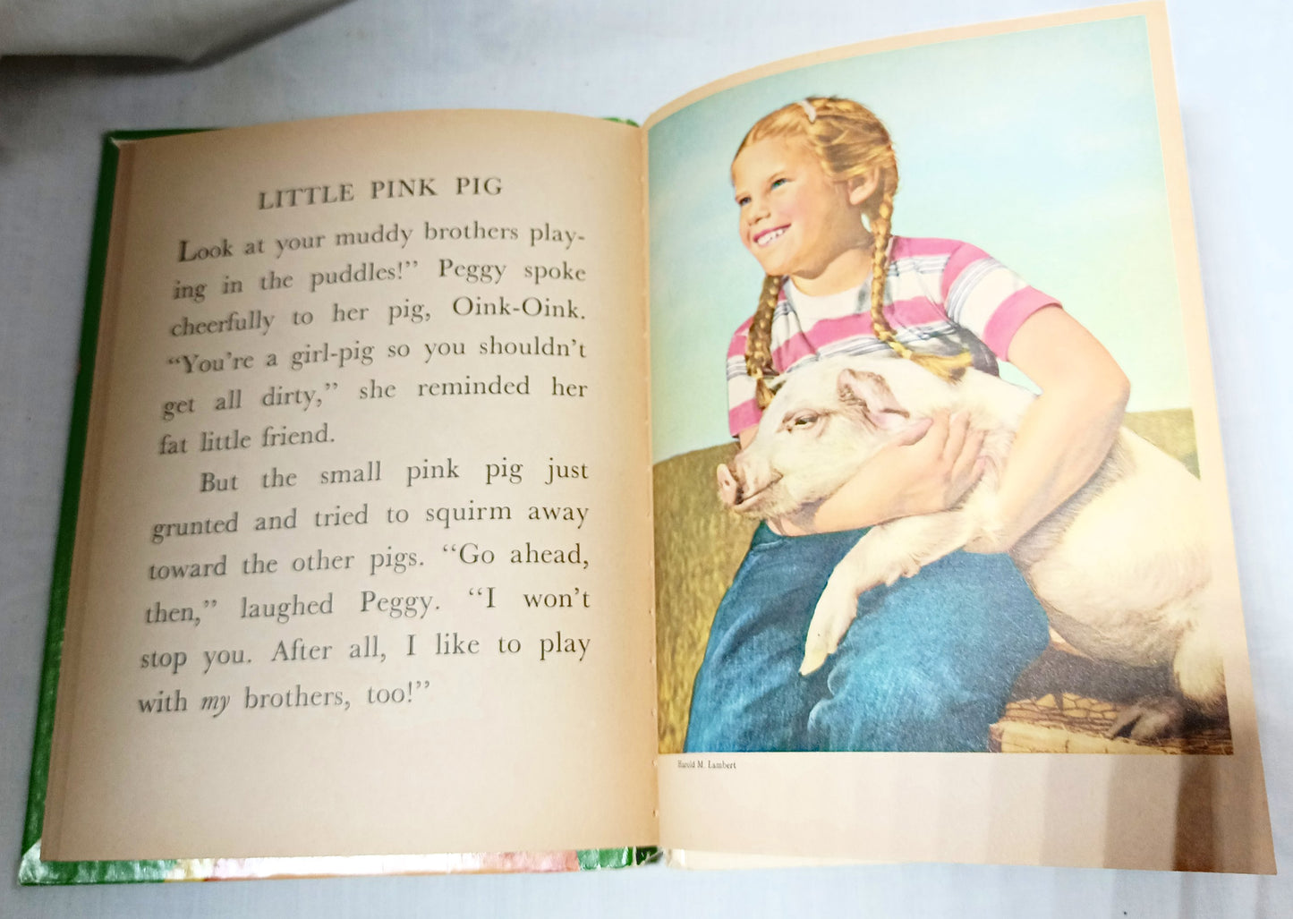 Our Animal Friends Virginia Hunter Tip-Top Elf Book Rand McNally 1956 - TulipStuff