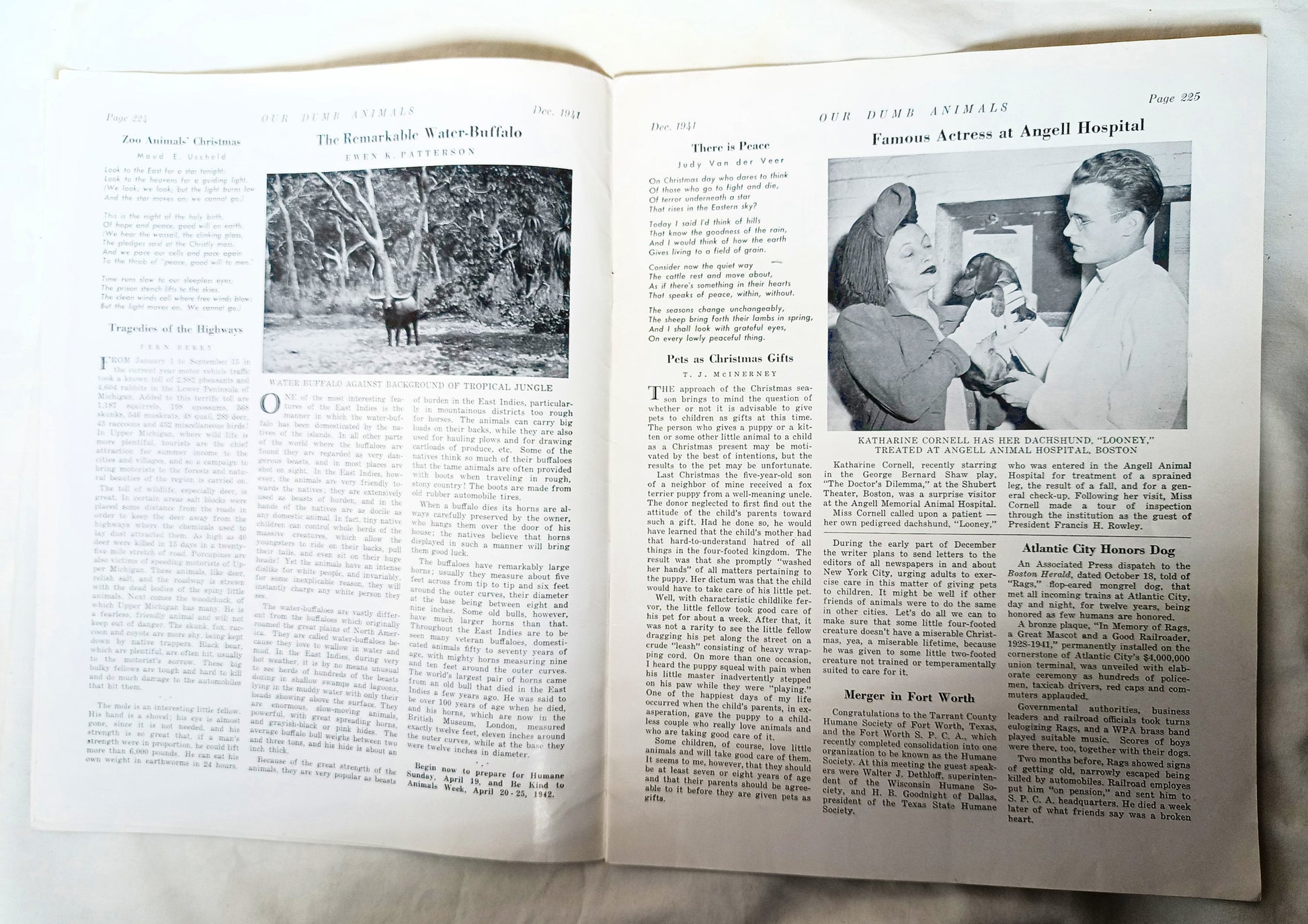 Our Dumb Animals Magazine December 1941 Xmas Issue Water Buffalo Pets - TulipStuff