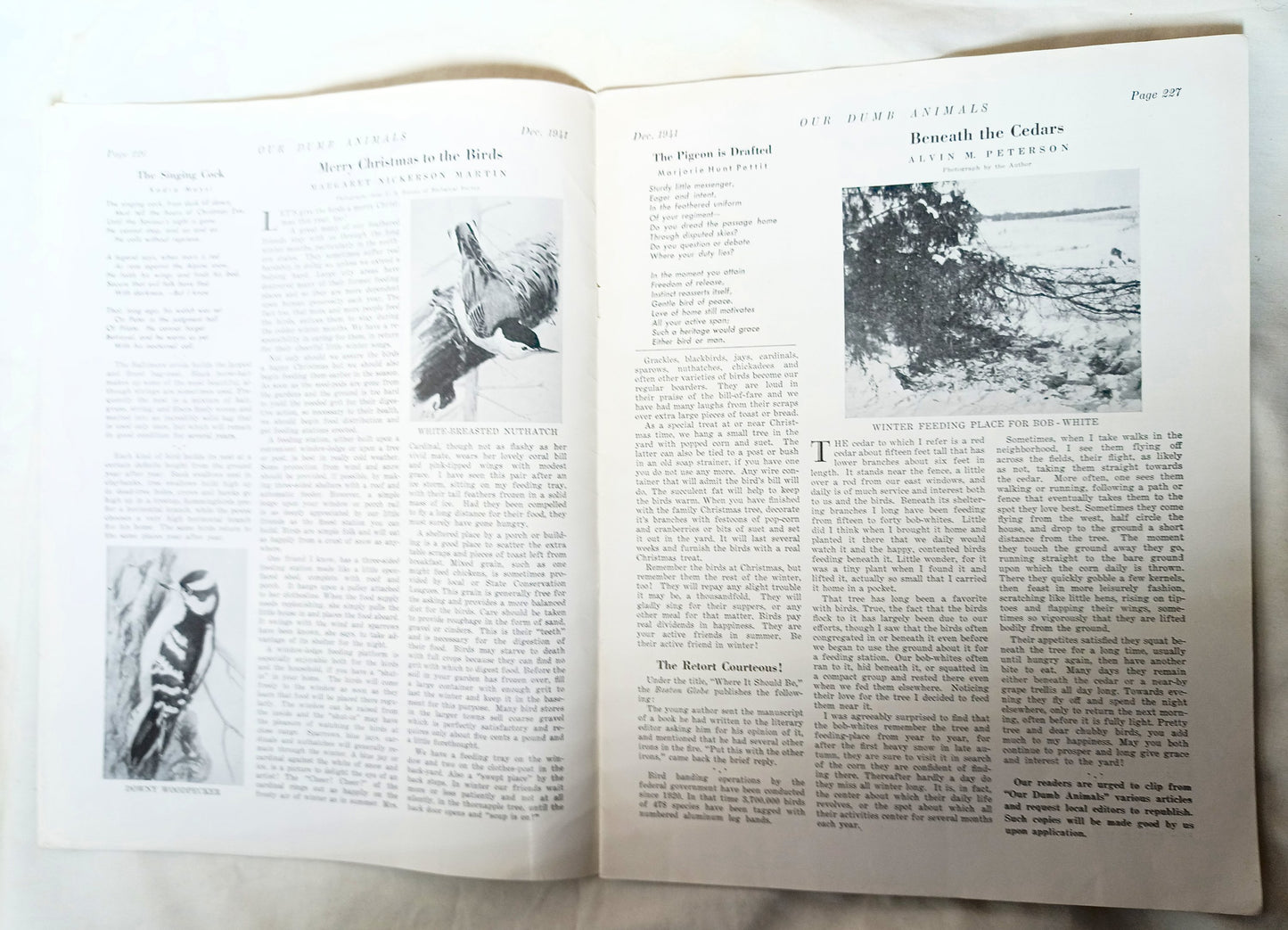 Our Dumb Animals Magazine December 1941 Xmas Issue Water Buffalo Pets - TulipStuff