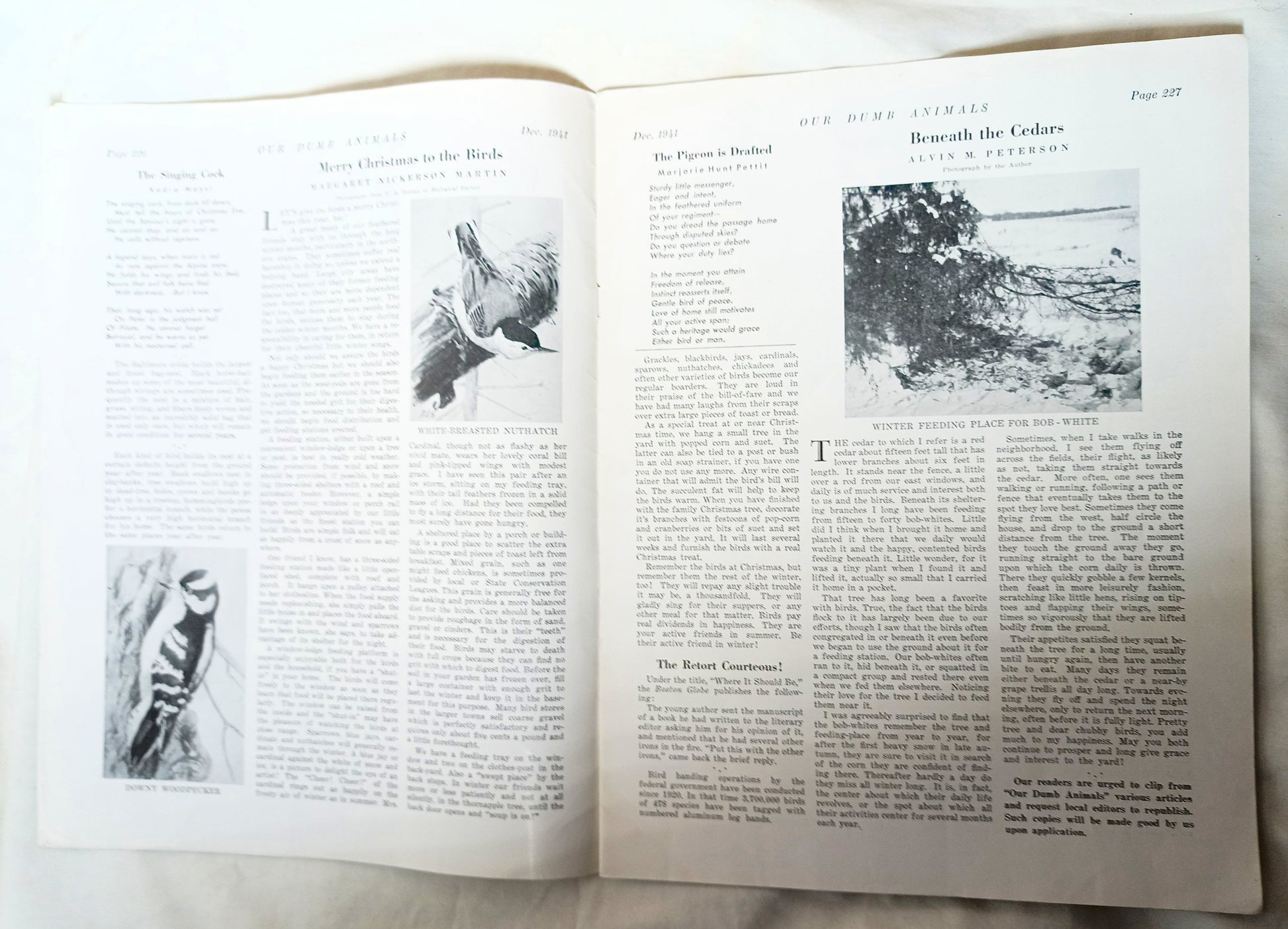 Our Dumb Animals Magazine December 1941 Xmas Issue Water Buffalo Pets - TulipStuff