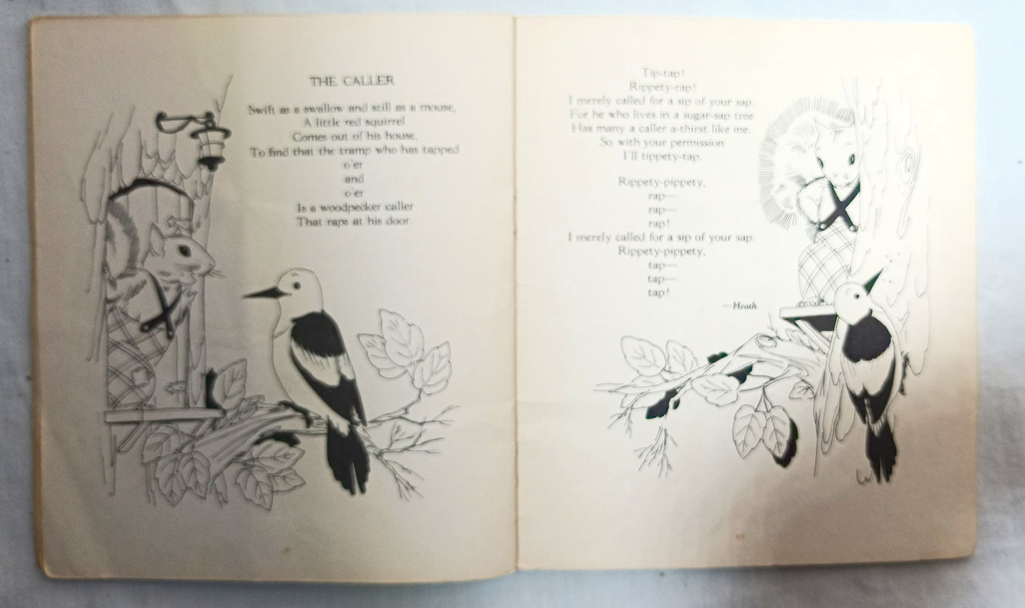 The Owl And The Pussy-cat Saalfield Publishing Akron Paperback 1938 - TulipStuff