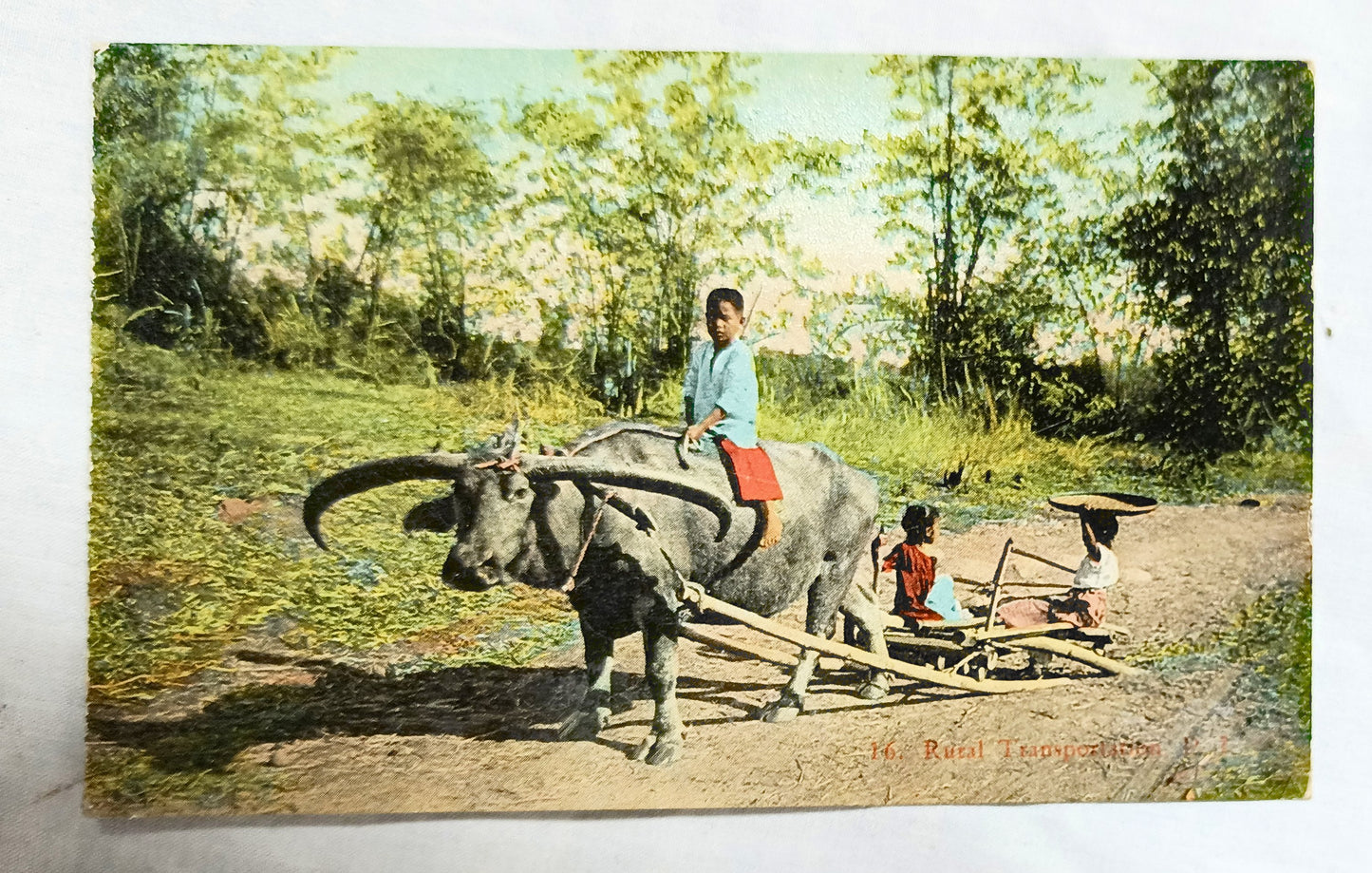 Philippines Ox Cart Children Rural Transport Denniston's Manila 1910's - TulipStuff