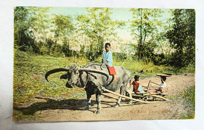Philippines Ox Cart Children Rural Transport Denniston's Manila 1910's - TulipStuff