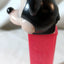 Pez Mickey Mouse Disney Candy Dispenser Slovenia 1997 - TulipStuff