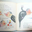 A Pickle For A Nickel Lilian Moore Golden Beginning Reader 1969 - TulipStuff