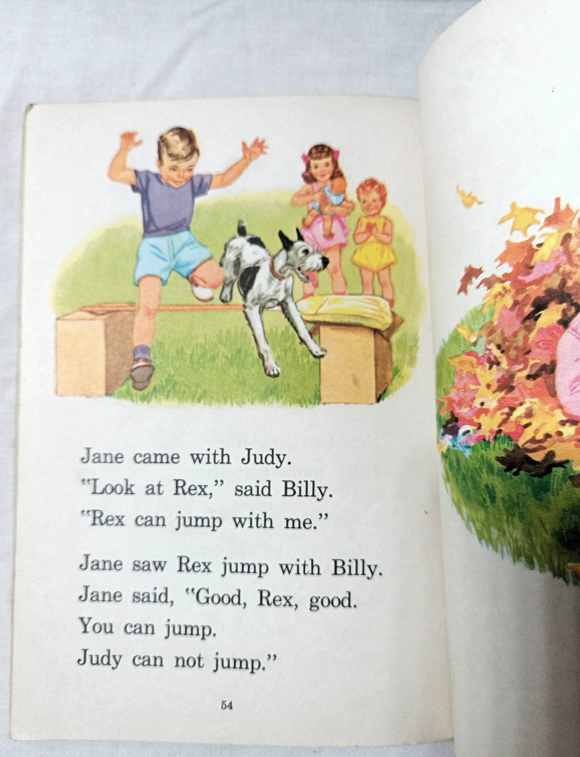 Play With Us - Second Level Pre-Primer Elementary School Reader 1954 - TulipStuff
