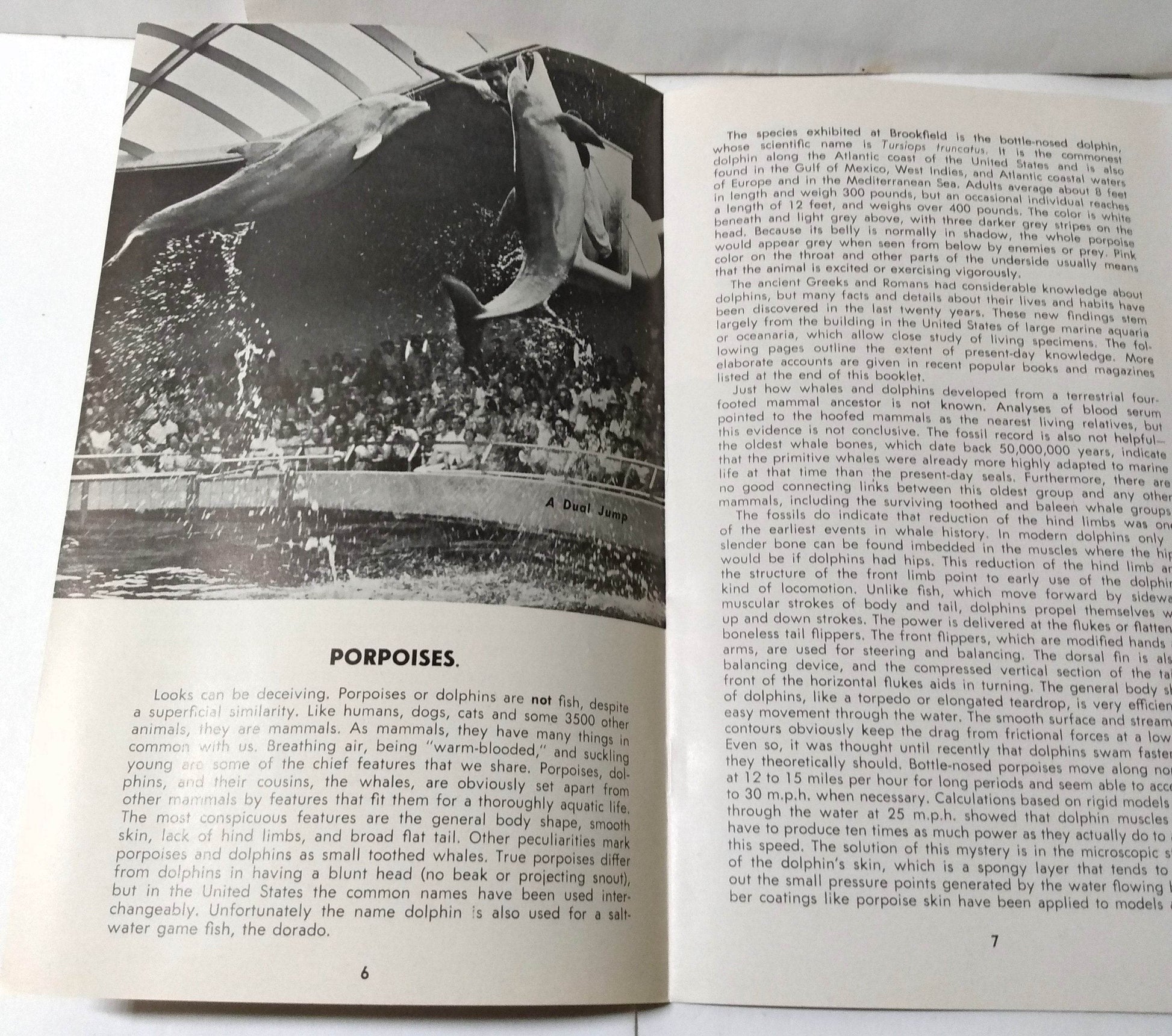 Porpoises & Pinnipeds Sevens Seas Panorama Booklet Chicago Zoo 1964 - TulipStuff