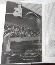 Load image into Gallery viewer, Porpoises &amp; Pinnipeds Sevens Seas Panorama Booklet Chicago Zoo 1964 - TulipStuff
