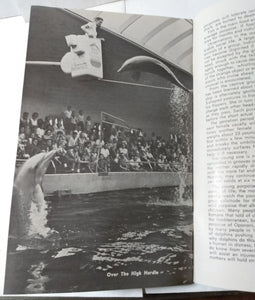 Porpoises & Pinnipeds Sevens Seas Panorama Booklet Chicago Zoo 1964 - TulipStuff