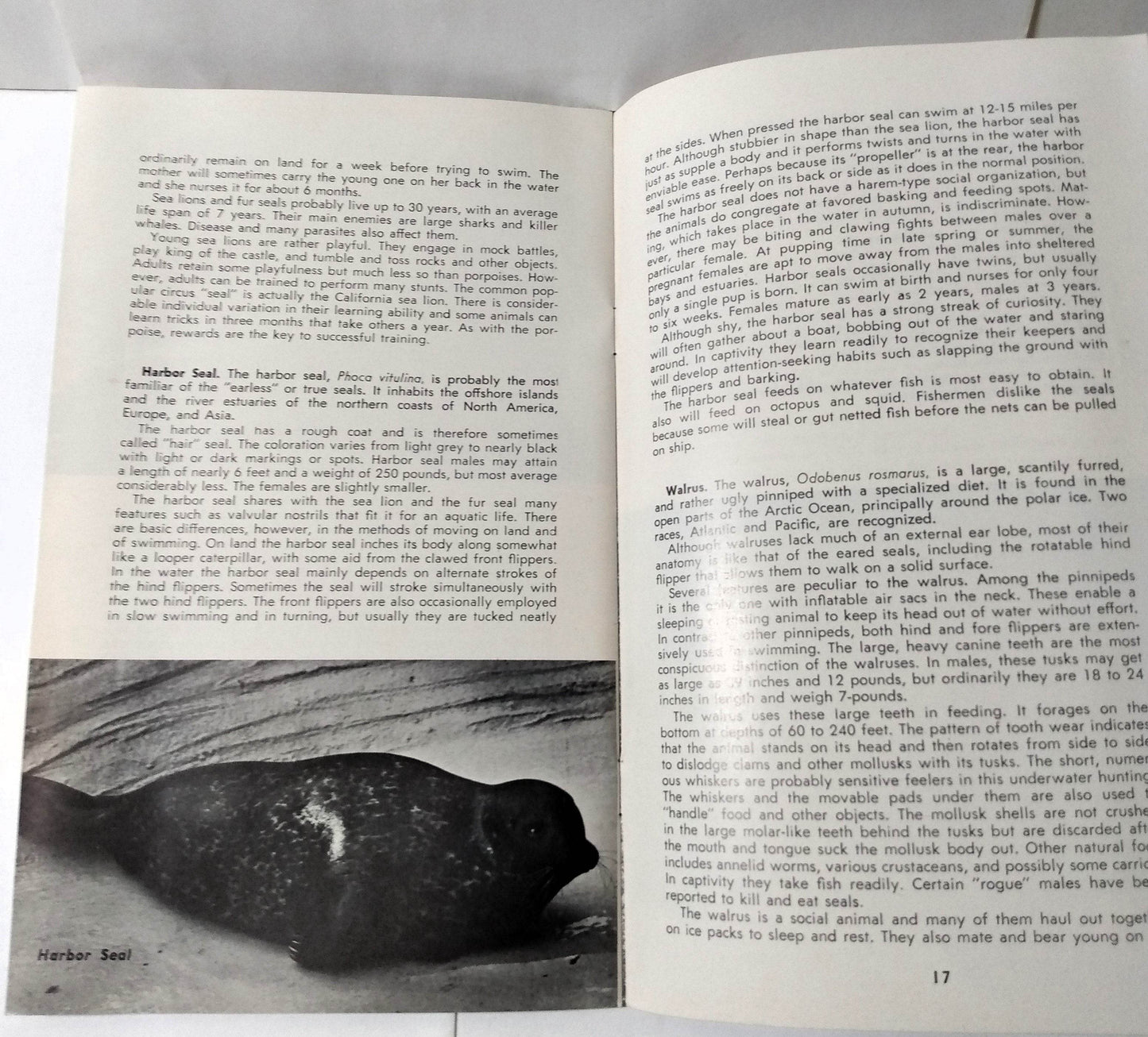 Porpoises & Pinnipeds Sevens Seas Panorama Booklet Chicago Zoo 1964 - TulipStuff