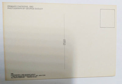 Primary Chickens Humor Postcard George Dudley 1982 - TulipStuff