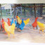 Primary Chickens Humor Postcard George Dudley 1982 - TulipStuff