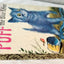 Puff The Blue Kitten Pierre Probst Little Golden Book Hardcover 1961 - TulipStuff