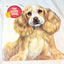The Puppy Book Jan Pfloog Golden Shape Book 1968 - TulipStuff
