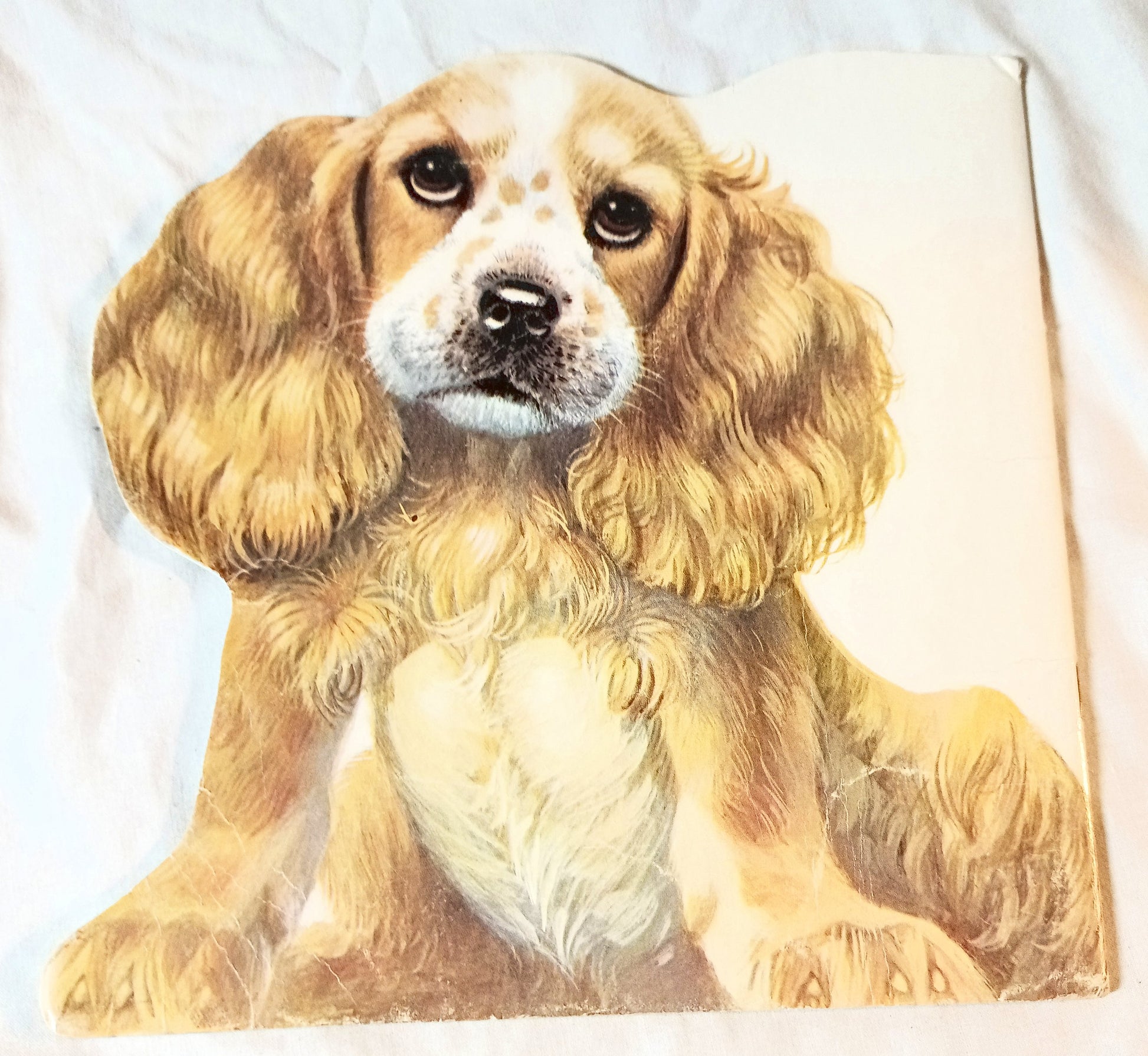 The Puppy Book Jan Pfloog Golden Shape Book 1968 - TulipStuff