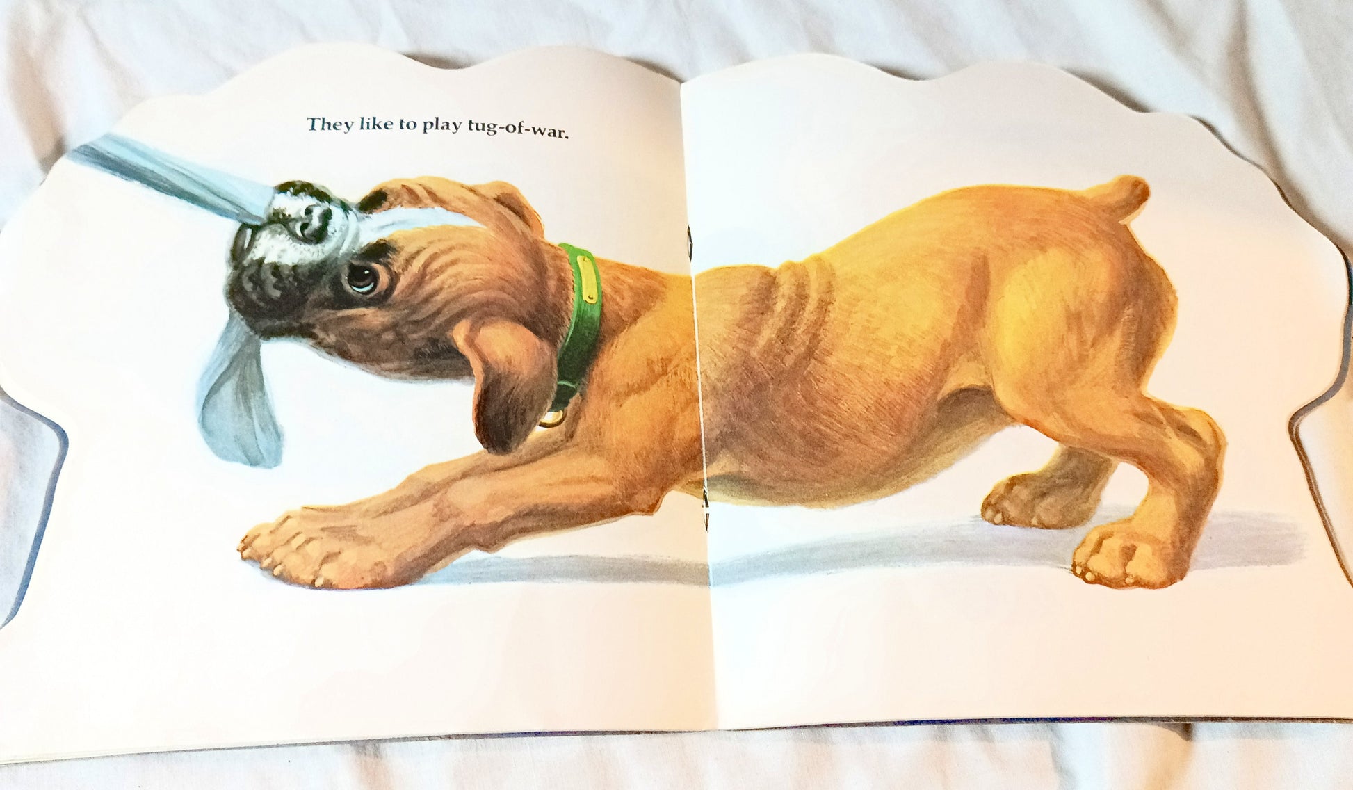 The Puppy Book Jan Pfloog Golden Shape Book 1968 - TulipStuff