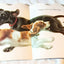 The Puppy Book Jan Pfloog Golden Shape Book 1968 - TulipStuff