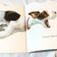The Puppy Book Jan Pfloog Golden Shape Book 1968 - TulipStuff