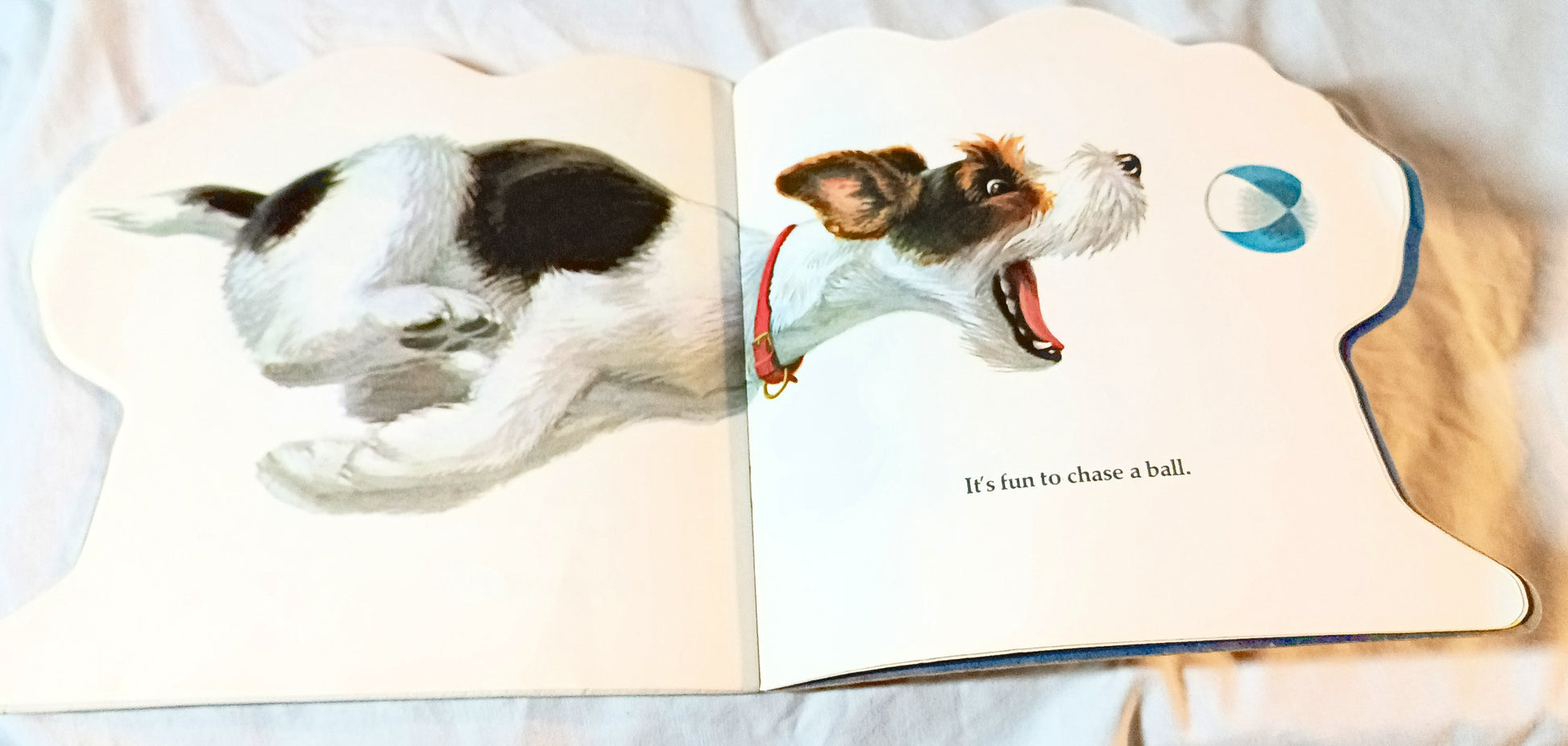 The Puppy Book Jan Pfloog Golden Shape Book 1968 - TulipStuff